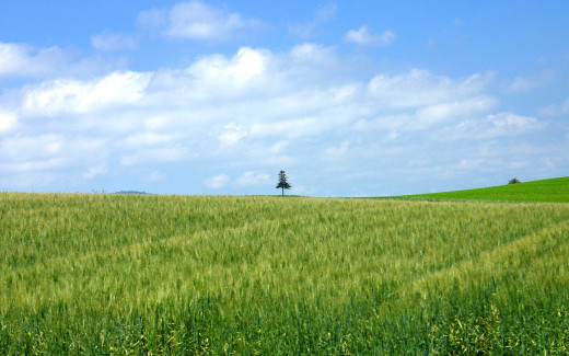 452859 (a): :1440x900